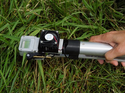 leaf cuvette - camera fogliare